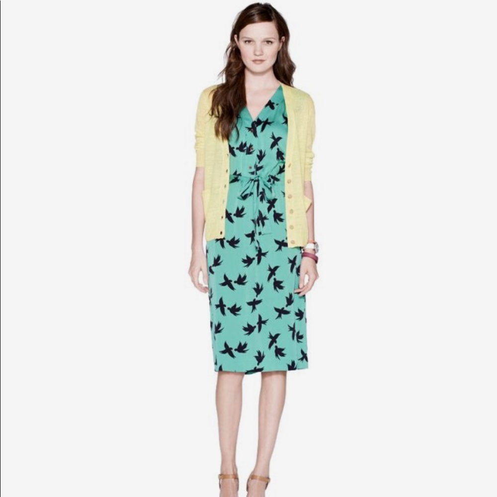Fossil bird dress